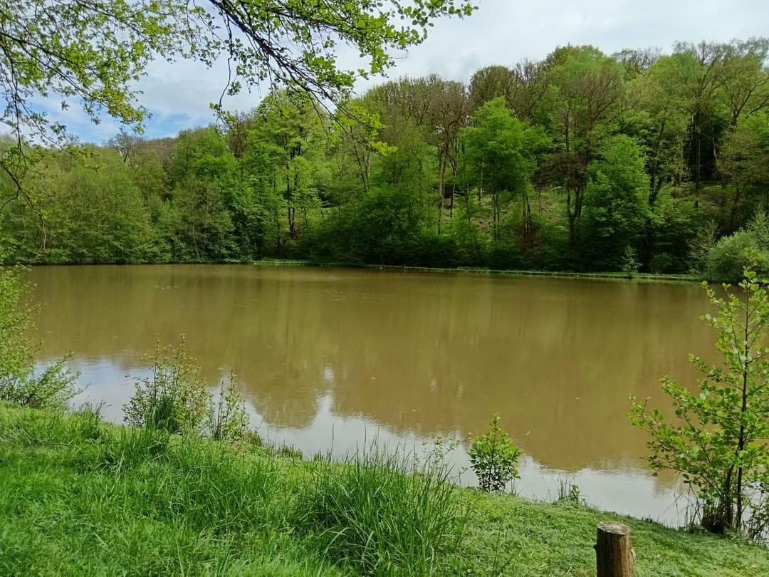Maison champêtre et son étang en Haute-Saône 