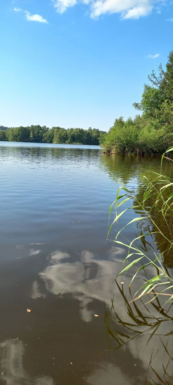 Poste de pêche / journée de pêche sur un étang de 11ha 