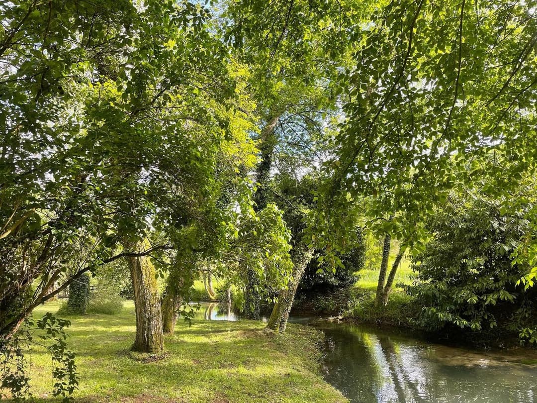 Gîte tout confort pour des vacances de rêve au cœur de la nature avec étang privé pour la pêche 