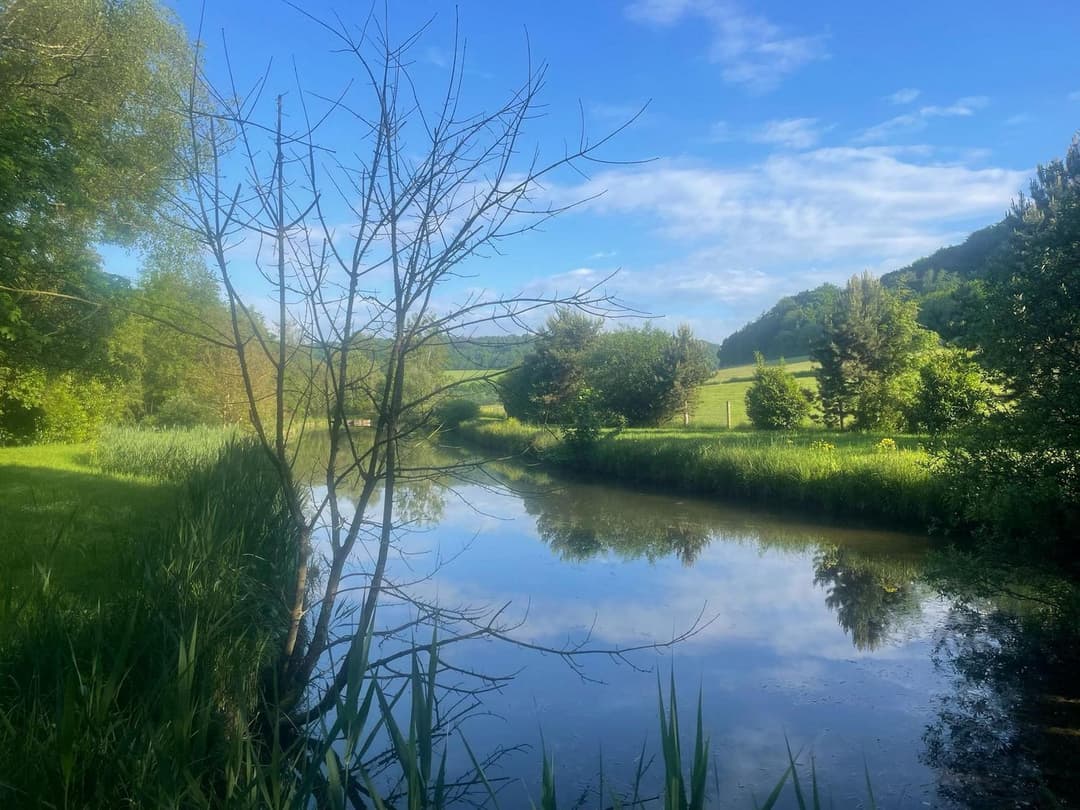 Gîte tout confort pour des vacances de rêve au cœur de la nature avec étang privé pour la pêche 