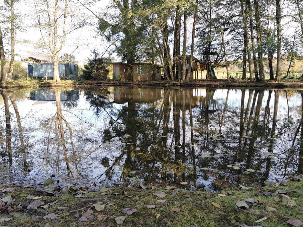 Gîte de charme avec piscine privée et étang en Thiérache 
