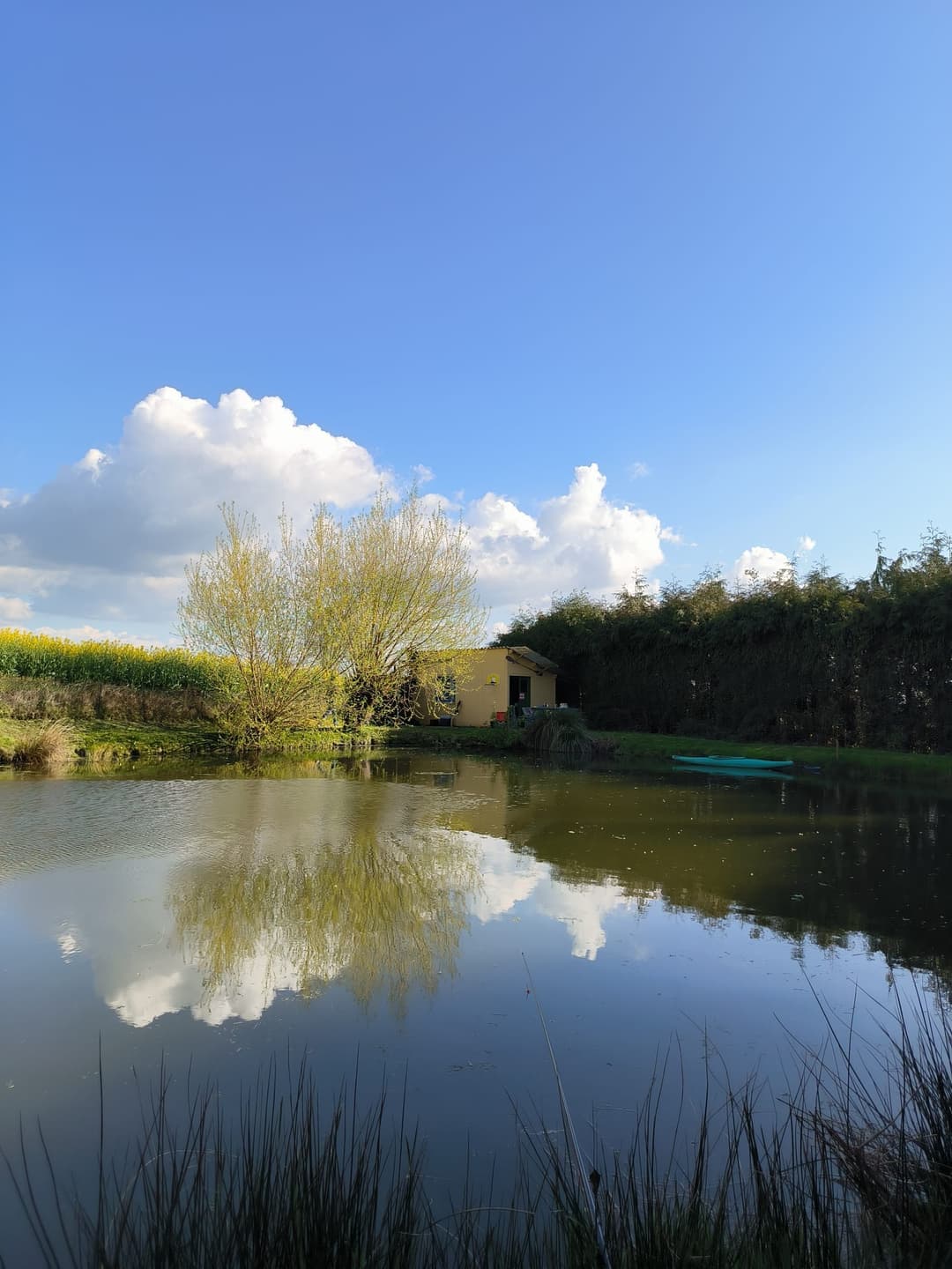 Etang de pêche clos avec petit air de jeux