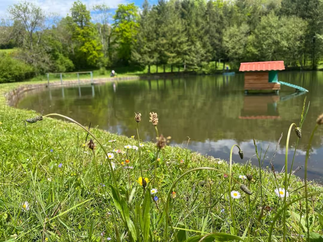 Chalet familial avec étang privé et grand jardin en Auvergne 