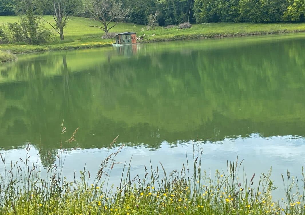 Étang d’un hectare pour camper et pêcher en No-kill dans la campagne pennoise 