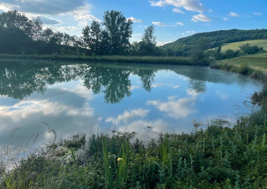 Étang d’un hectare pour camper et pêcher en No-kill dans la campagne pennoise 