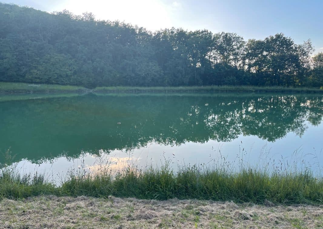 Étang d’un hectare pour camper et pêcher en No-kill dans la campagne pennoise 