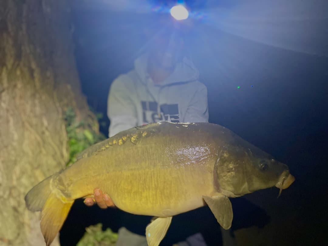 Gravière de 1ha pour des bons moments au bord de l'eau