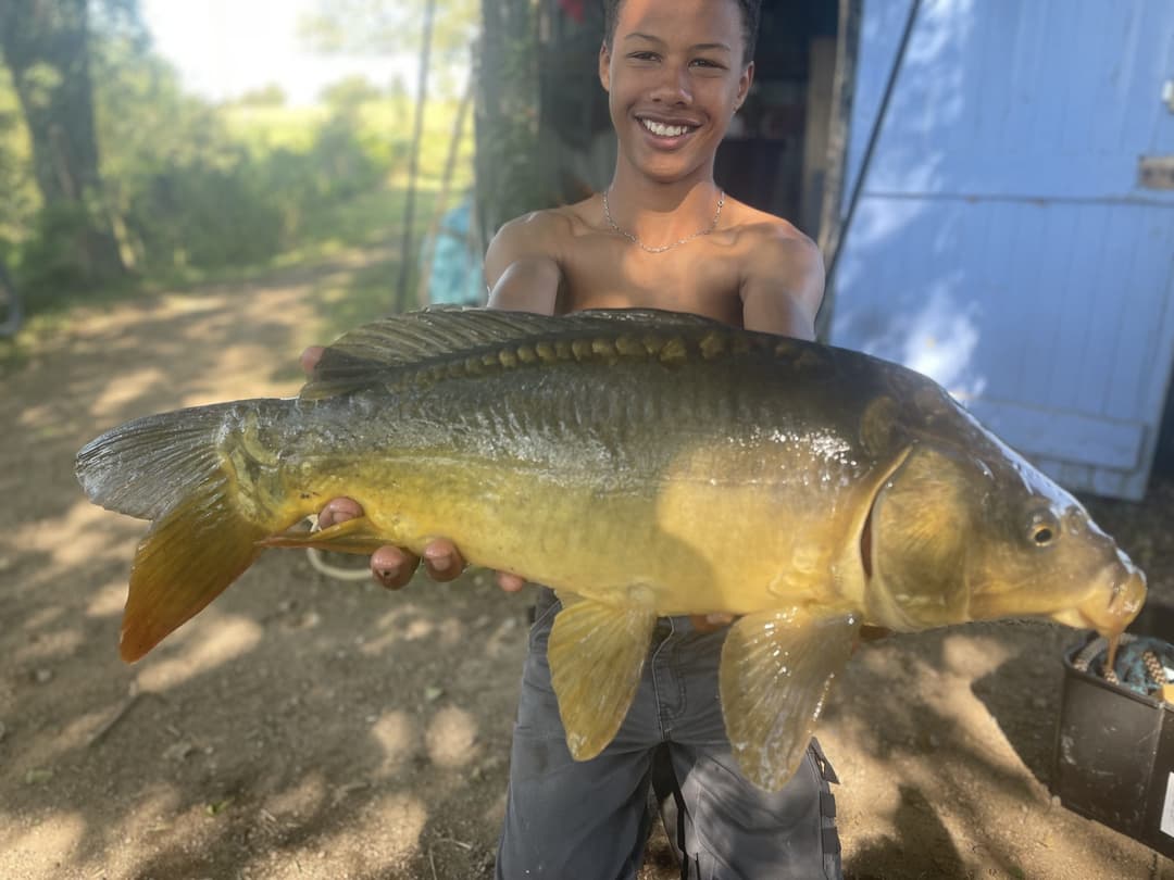 Gravière de 1ha pour des bons moments au bord de l'eau