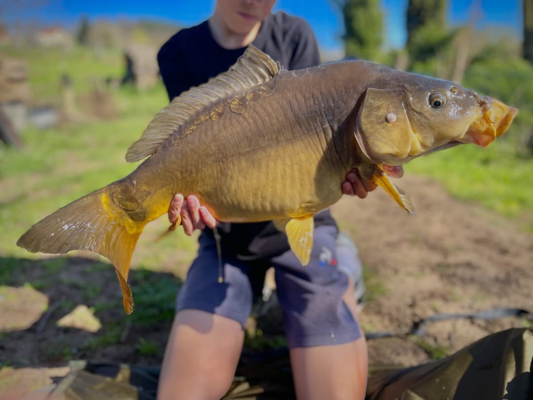 Gravière de 1ha pour des bons moments au bord de l'eau