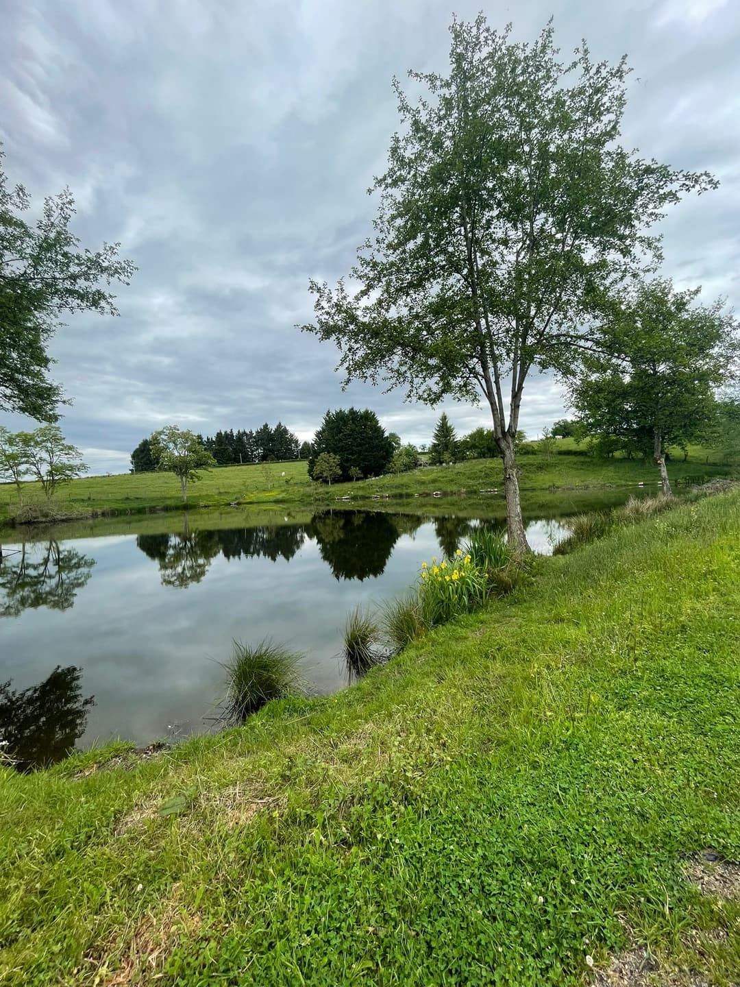 Gravière de 1ha pour des bons moments au bord de l'eau