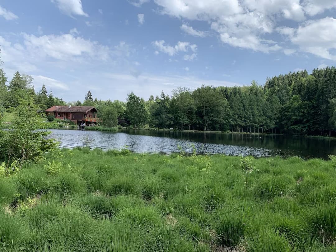 Maison avec chalet privée au coeur des vosges 