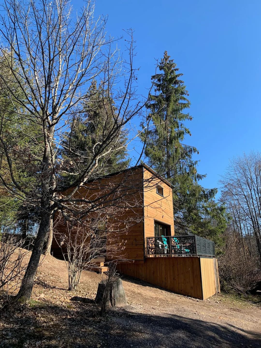 Chalet avec étangs privés et vue exceptionnelle 