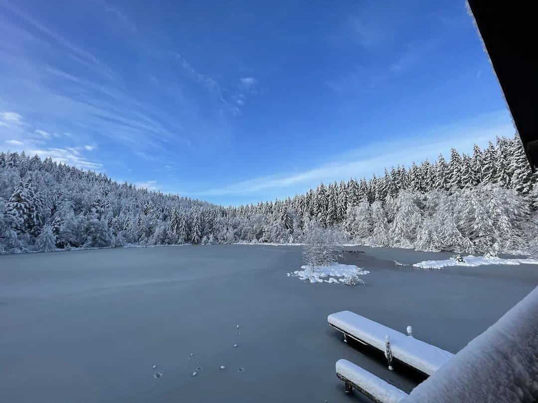 Maison avec chalet privée au coeur des vosges 