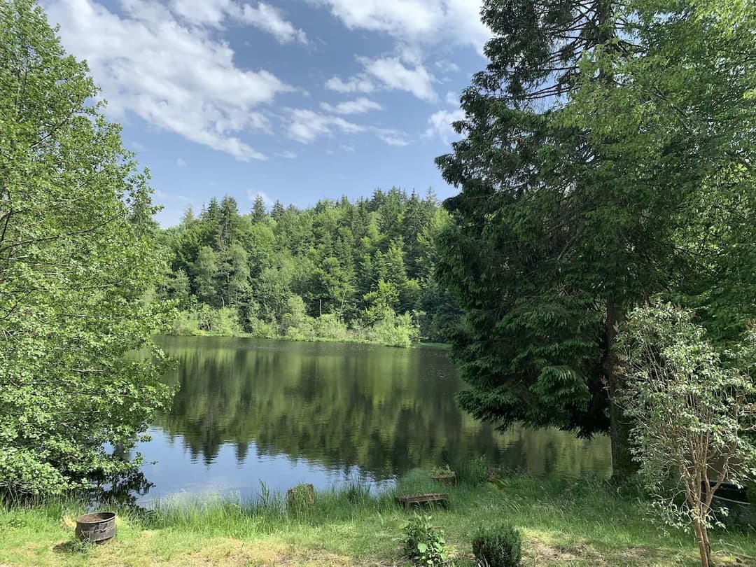 Chalet avec étangs privés et vue exceptionnelle 