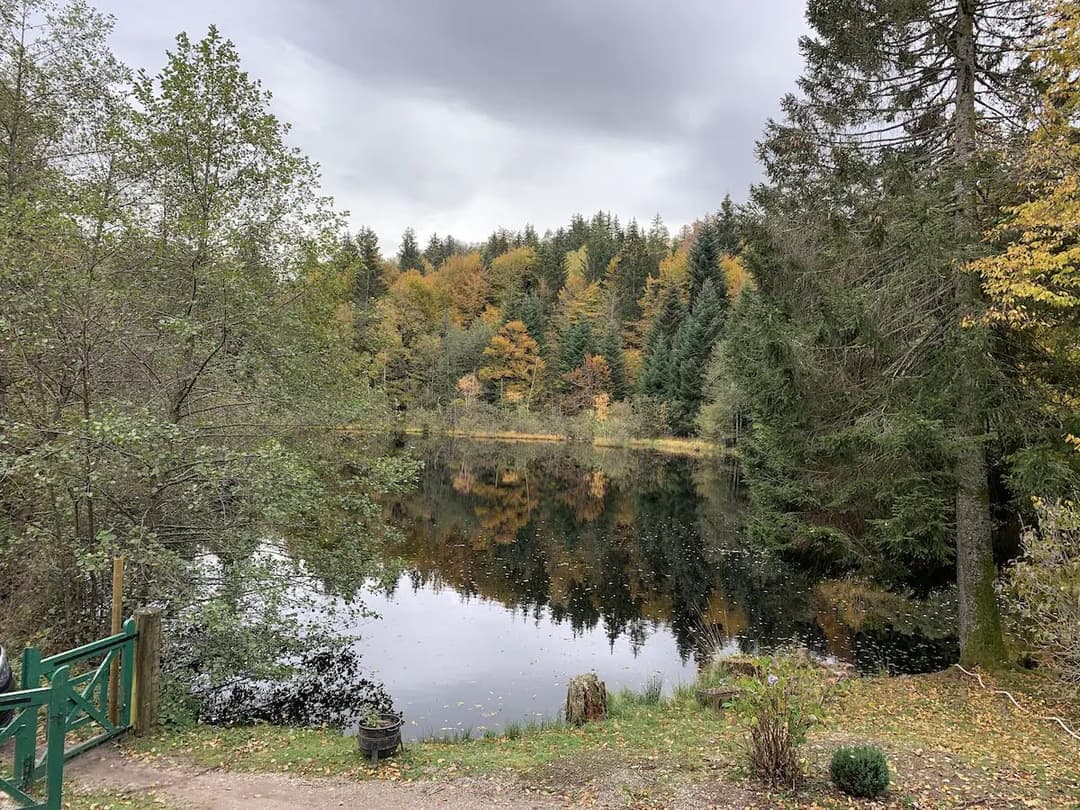 Chalet avec étangs privés et vue exceptionnelle 