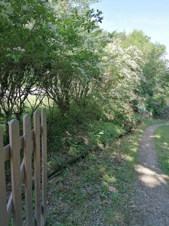 Maisonnette au bord de la rivière du Tarn 