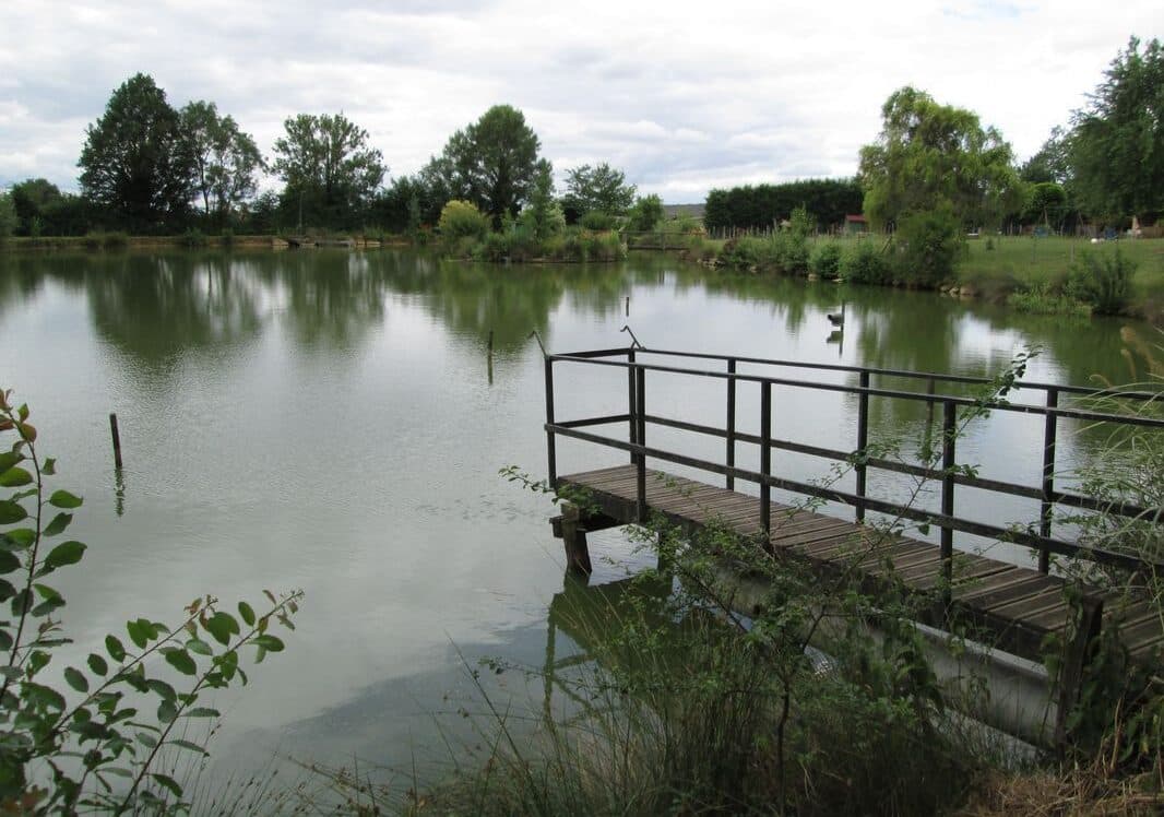 Gîte authentique et confortable au bord de l’étang 