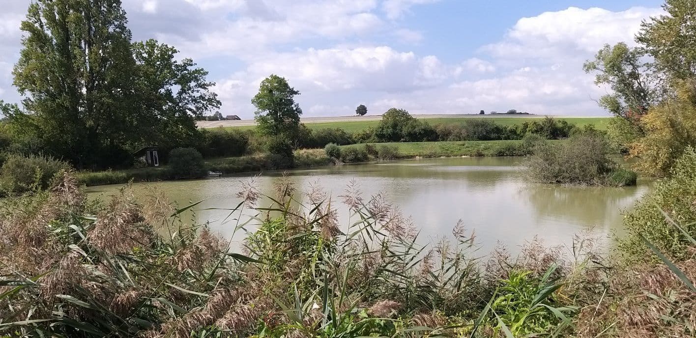 Étang de 1,1 ha au milieu de la nature 