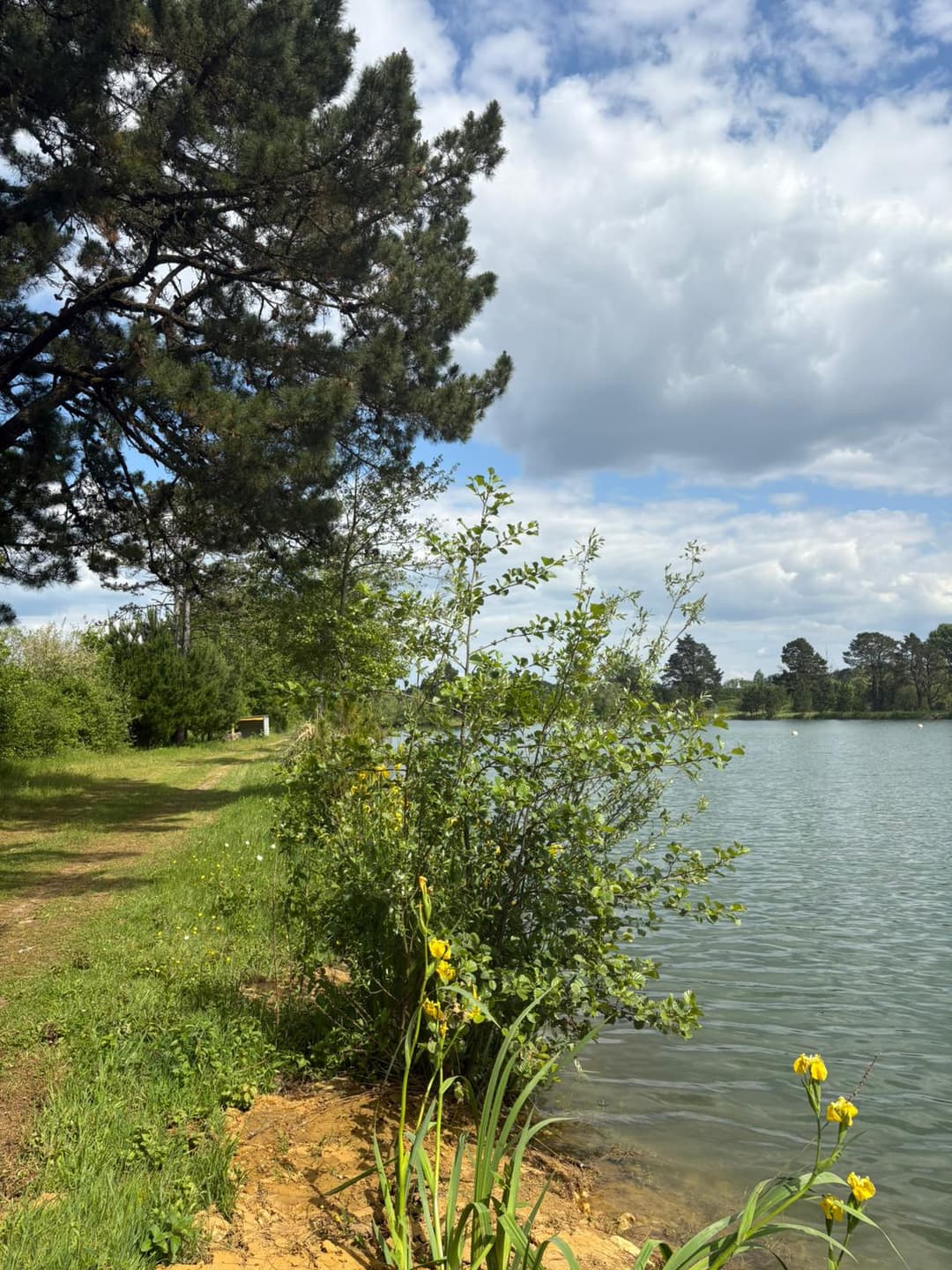 Location étang avec son mobil home en Vendée