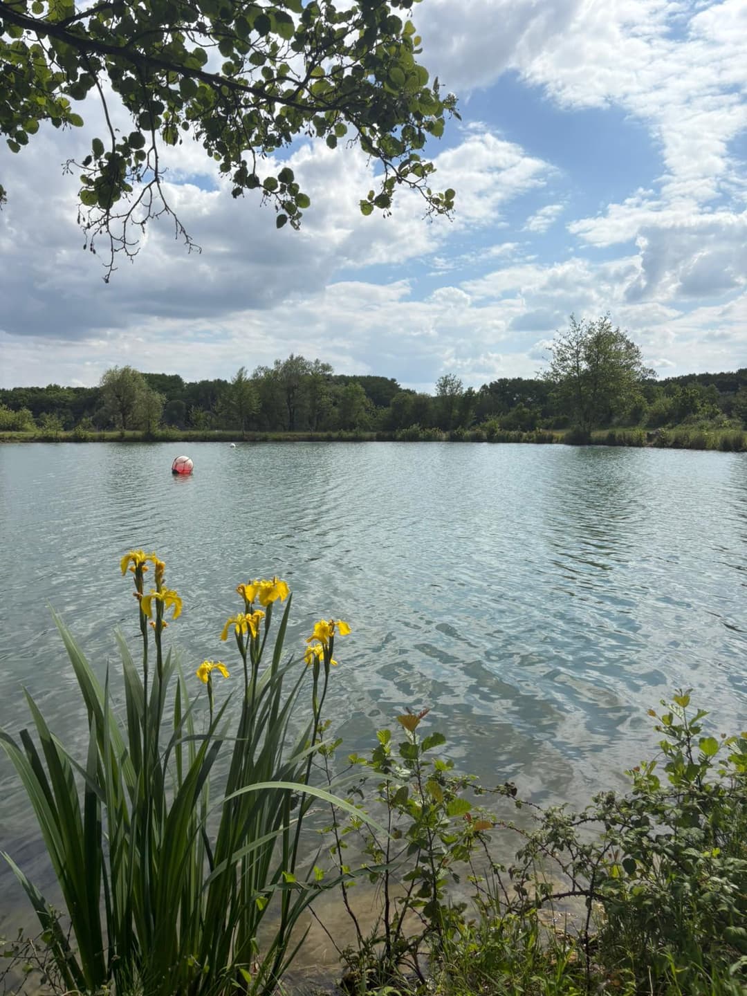 Location étang avec son mobil home en Vendée