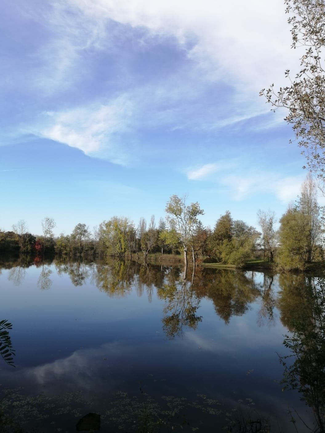 Deux étangs de 3ha à louer dans les Landes 