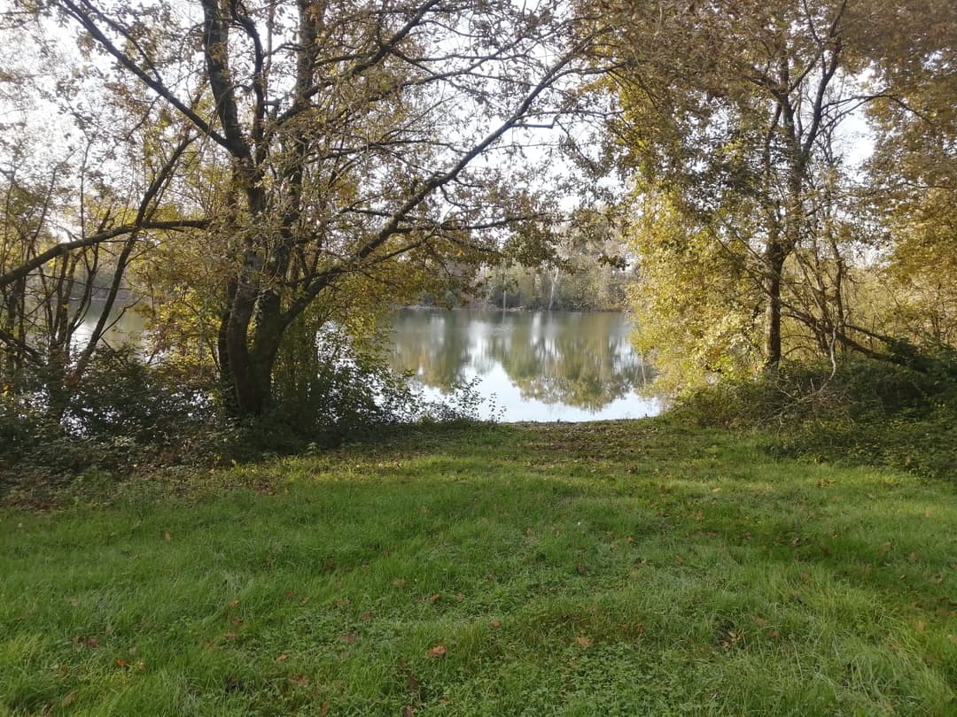 Deux étangs de 3ha à louer dans les Landes 