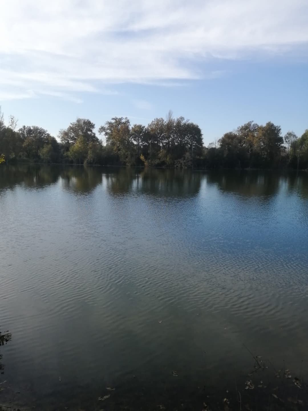 Deux étangs de 3ha à louer dans les Landes 