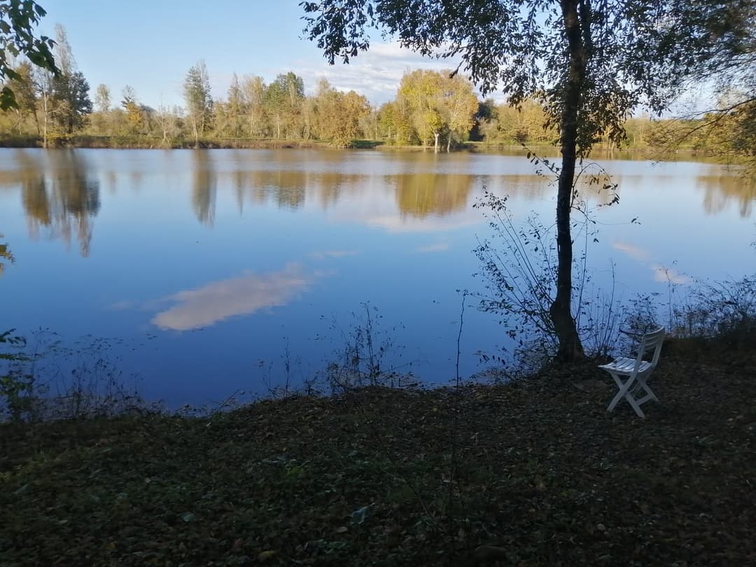 Deux étangs de 3ha à louer dans les Landes 