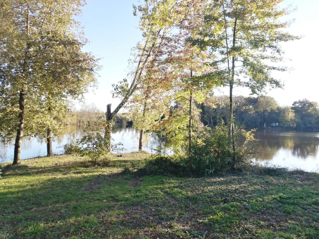 Deux étangs de 3ha à louer dans les Landes 