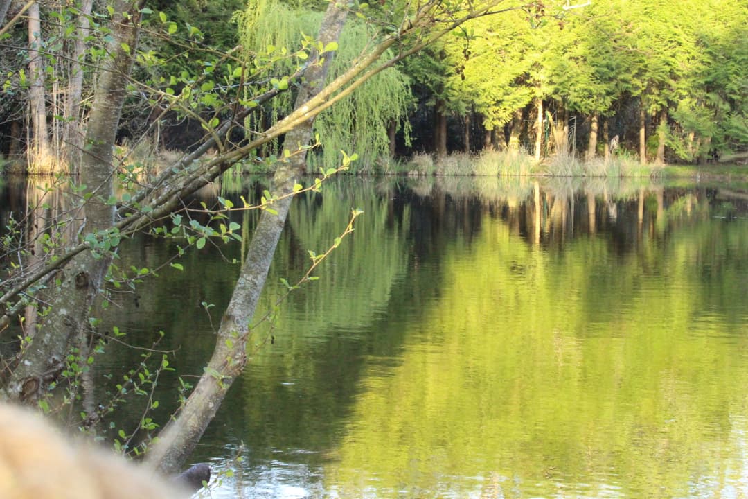 Location etang avec maison de 30 m2 