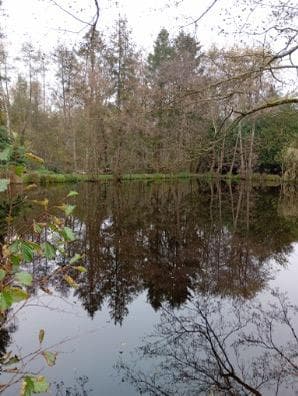 Location etang avec maison de 30 m2 