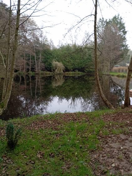 Location etang avec maison de 30 m2 