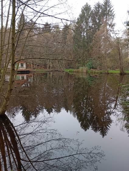 Location etang avec maison de 30 m2 