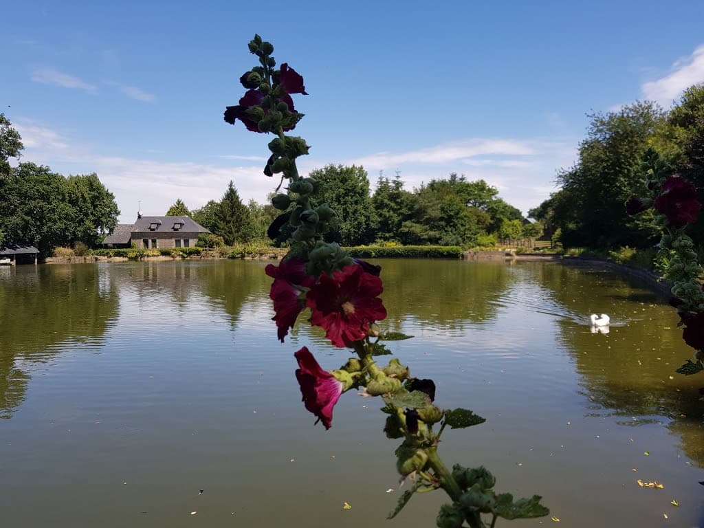 Etang de 1 ha pour camper et pêcher 