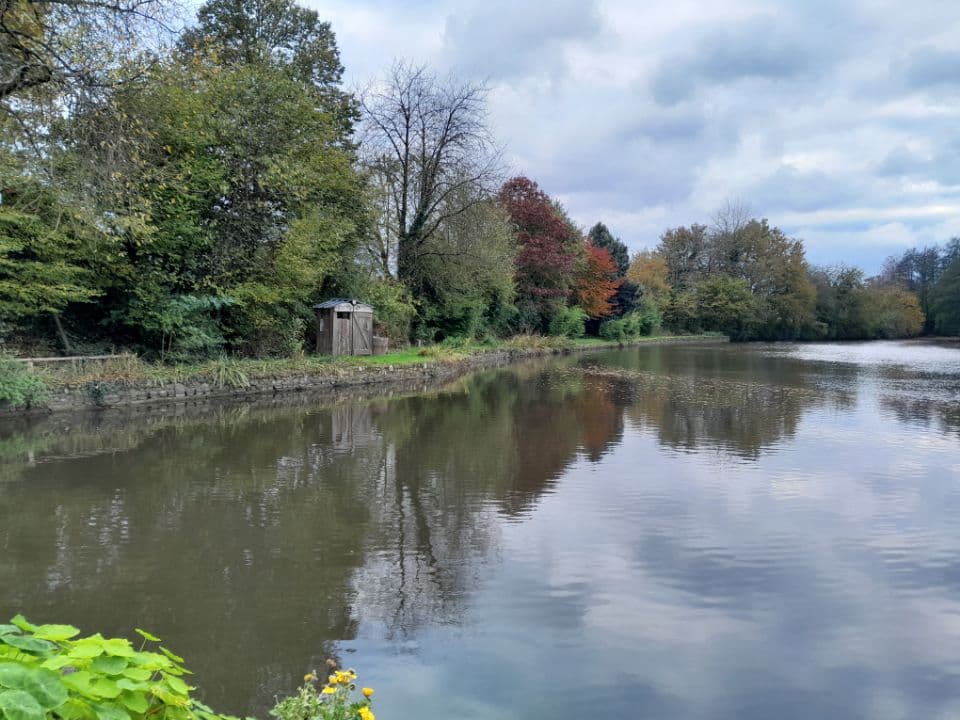 Etang de 1 ha pour camper et pêcher 