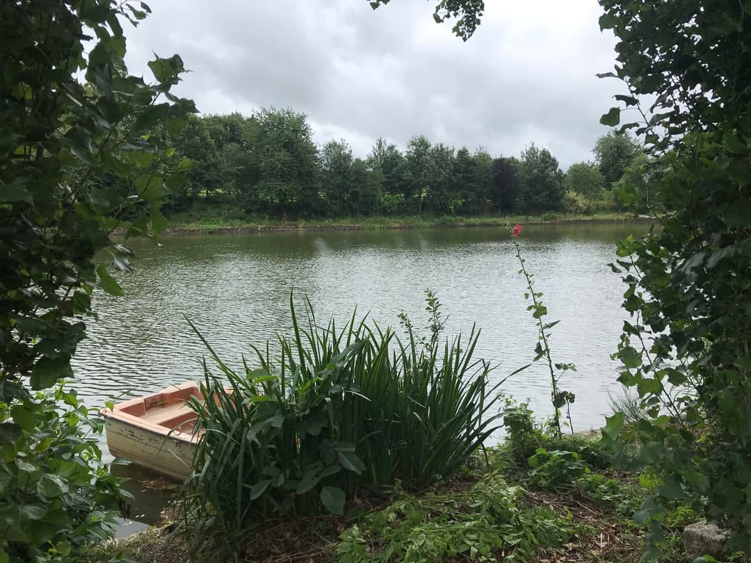 Etang de 1 ha pour camper et pêcher 