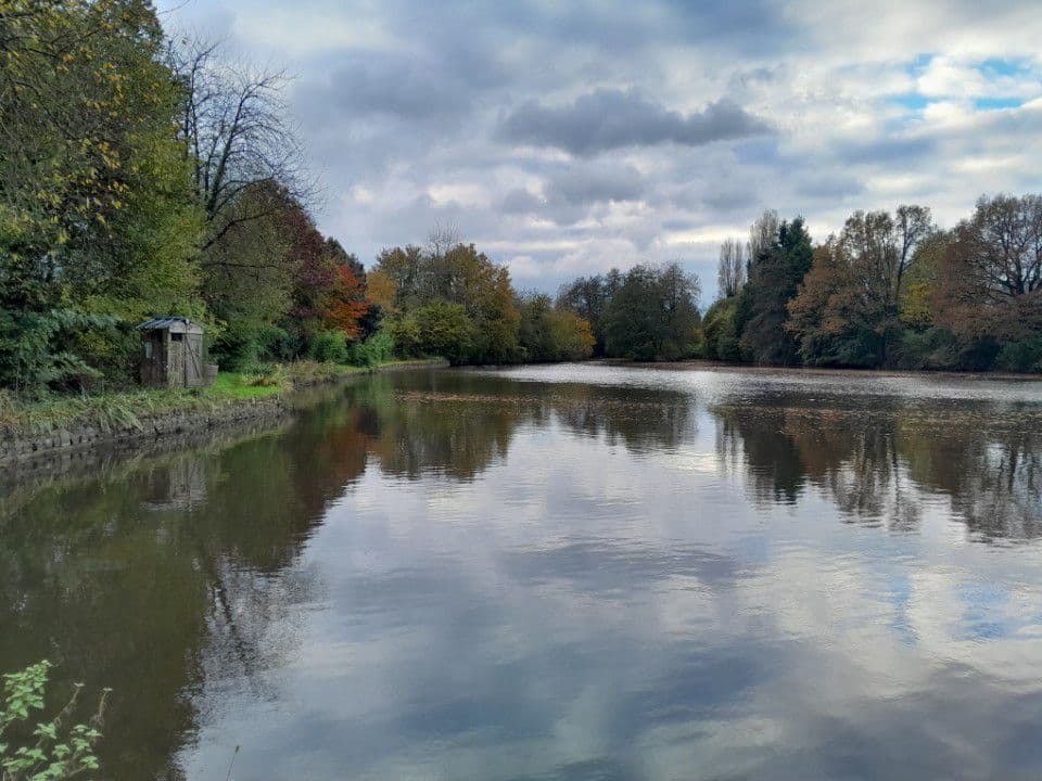 Etang de 1 ha pour camper et pêcher 