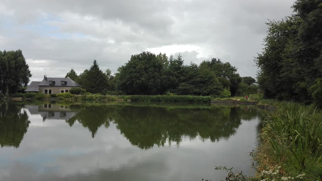 Etang de 1 ha pour camper et pêcher 