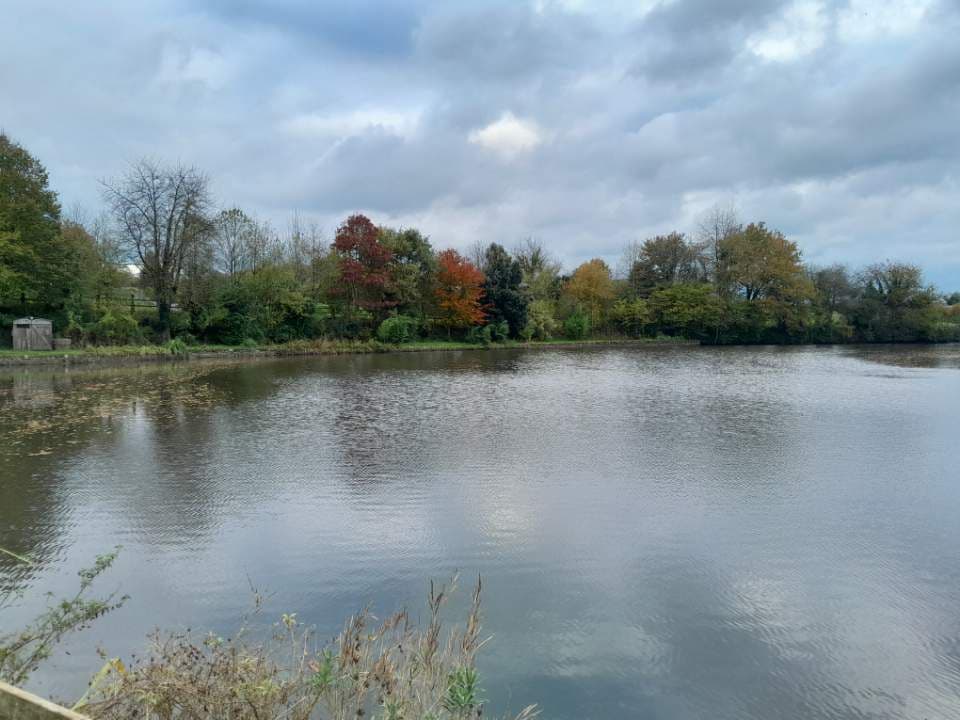 Etang de 1 ha pour camper et pêcher 