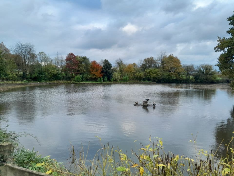 Etang de 1 ha pour camper et pêcher 