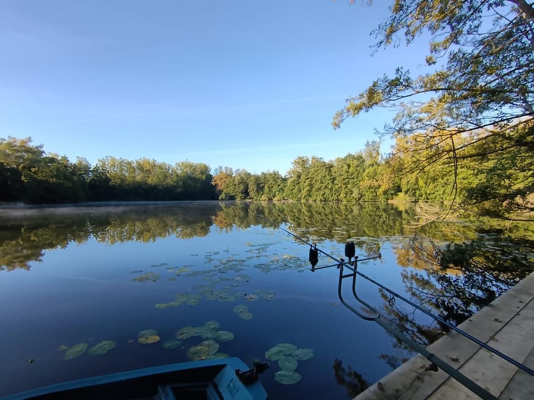 Cabane tout équipée et ces étangs de 4ha et 1ha 