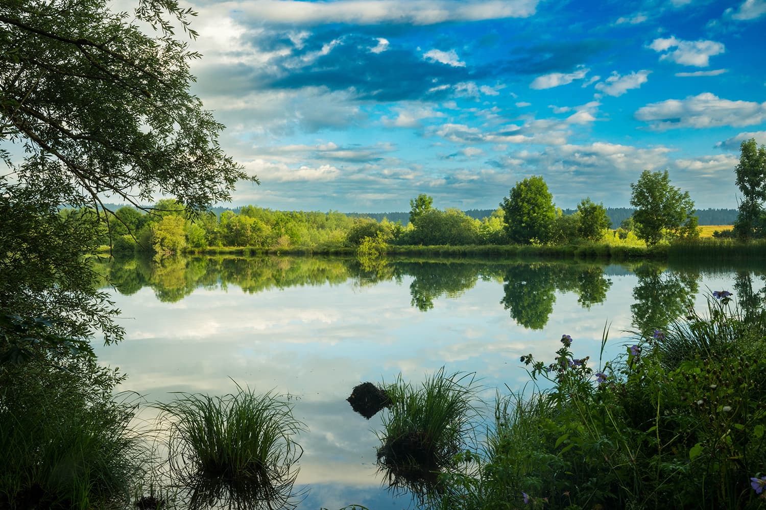 4 étangs de 5ha chacun en moyenne  a doubs 25300 