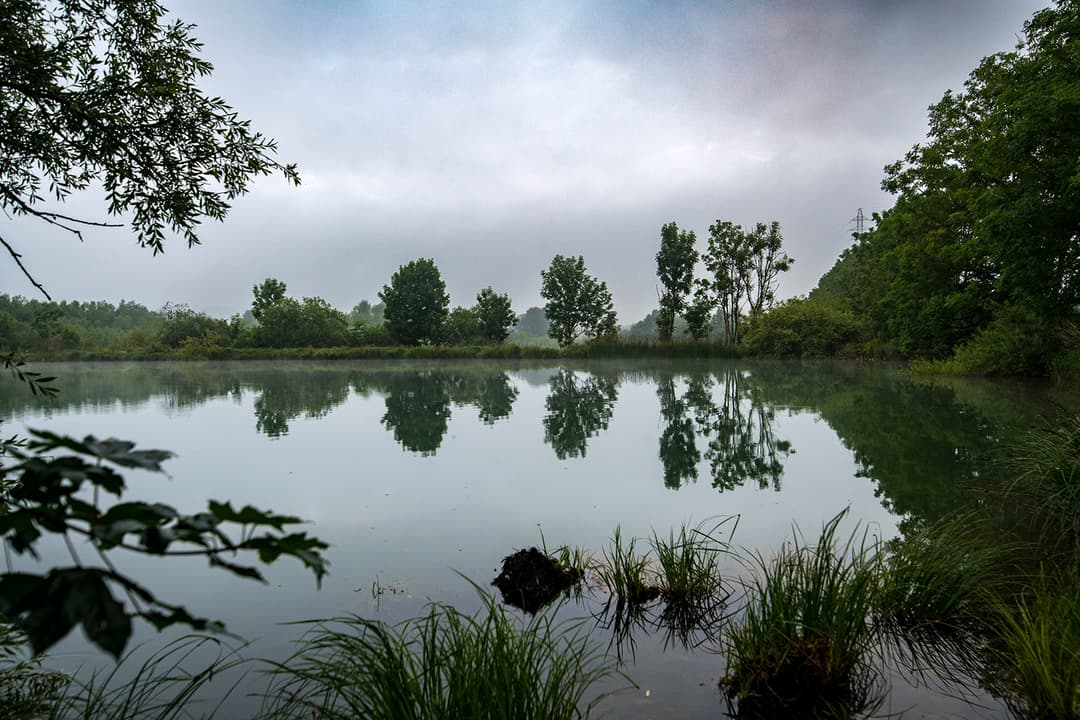 4 étangs de 5ha chacun en moyenne  a doubs 25300 