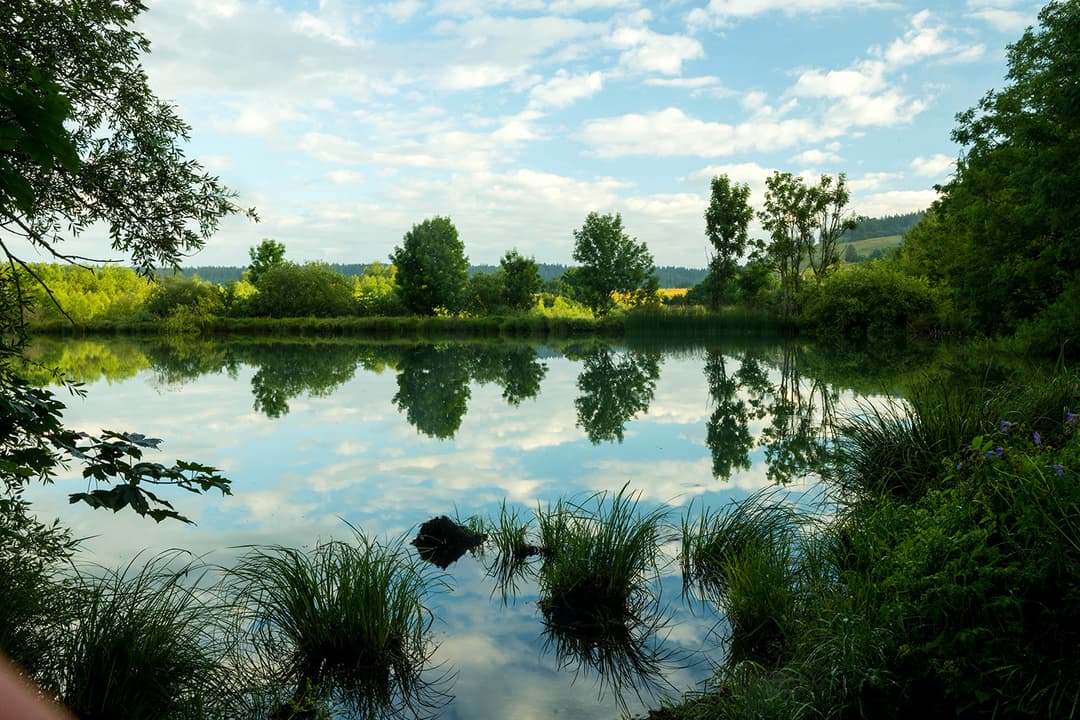 4 étangs de 5ha chacun en moyenne  a doubs 25300 