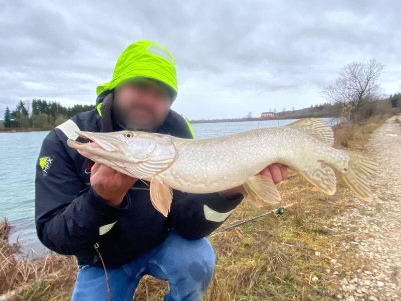 4 étangs de 5ha chacun en moyenne  a doubs 25300 