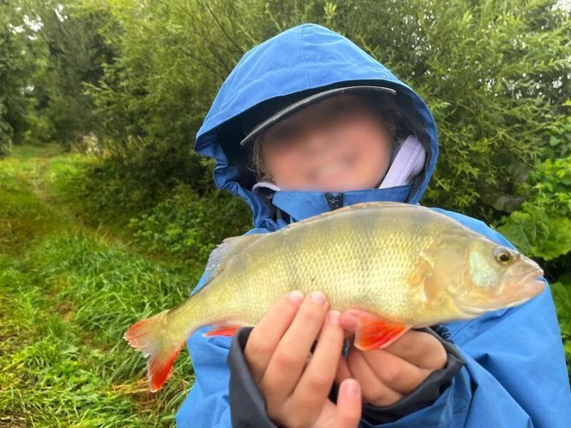 4 étangs de 5ha chacun en moyenne  a doubs 25300 