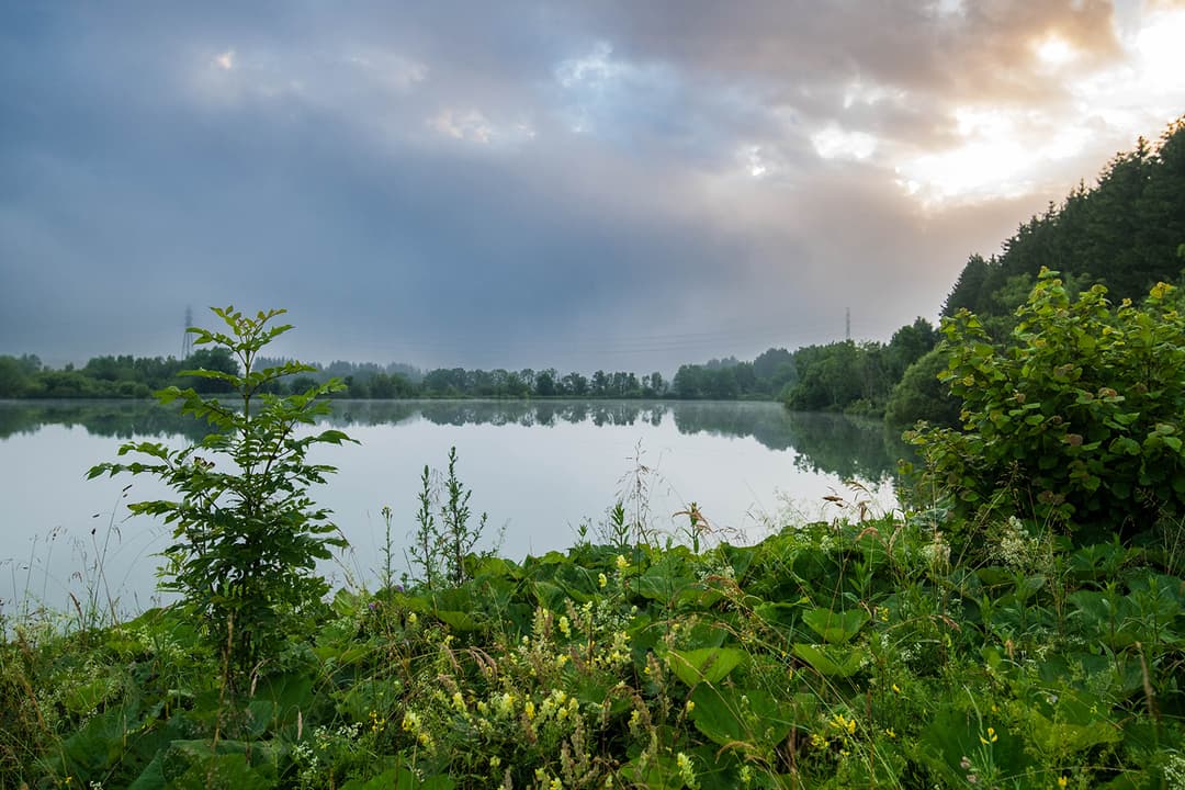 4 étangs de 5ha chacun en moyenne  a doubs 25300 