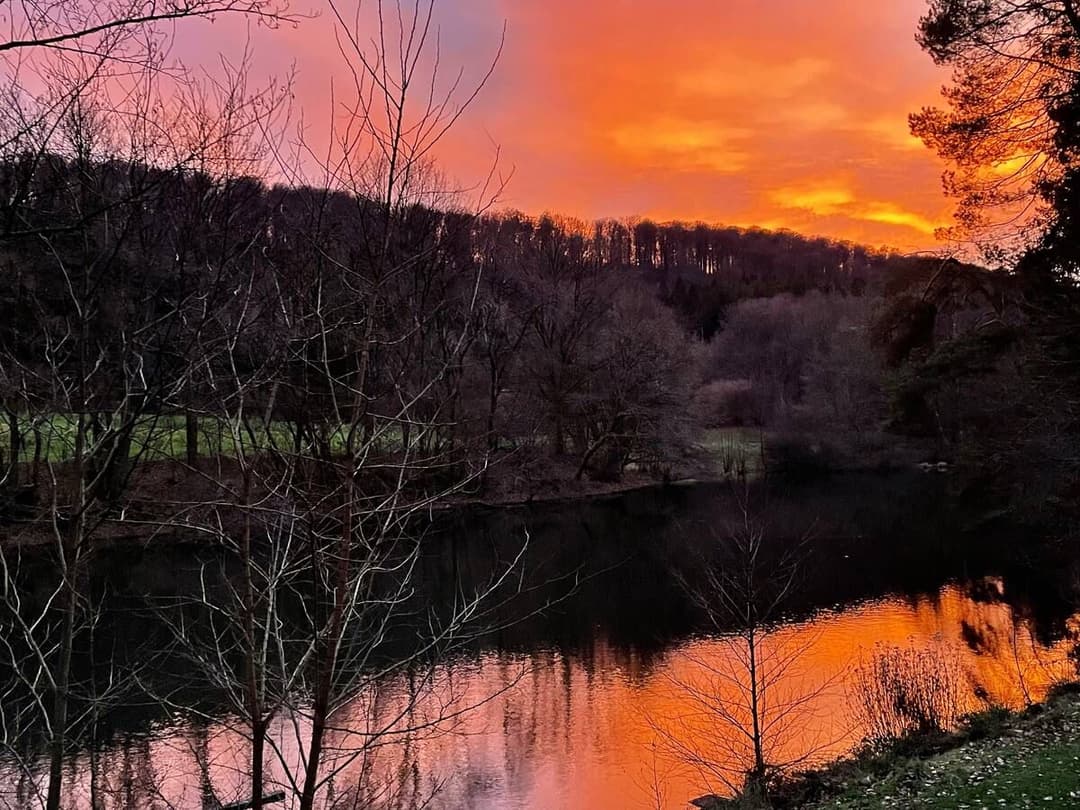 Chalet au bord d’un étang de 2ha  dans le parc naturel des vosges du nord 