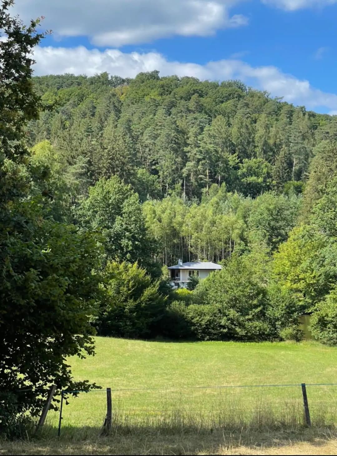 Chalet au bord d’un étang de 2ha  dans le parc naturel des vosges du nord 