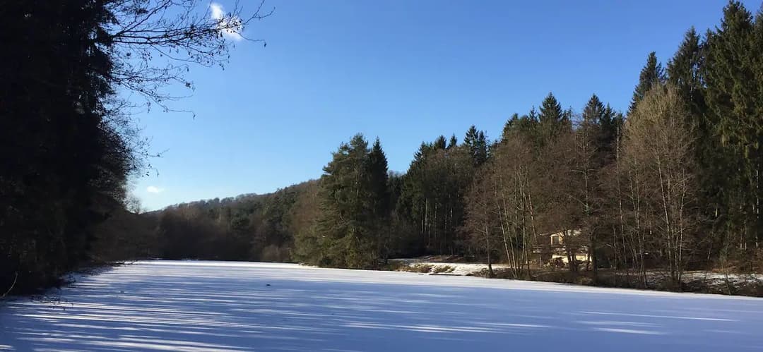 Chalet au bord d’un étang de 2ha  dans le parc naturel des vosges du nord 